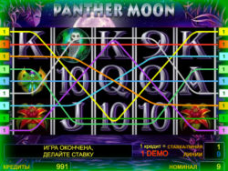 Линии для ставок в слоте Panther Moon