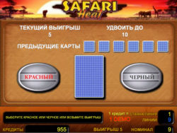 Риск-игра в слоте Safari Heat